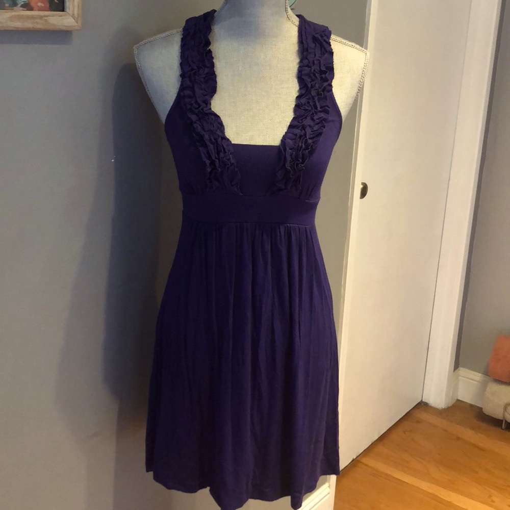 Blue Ruffle Collar Dress